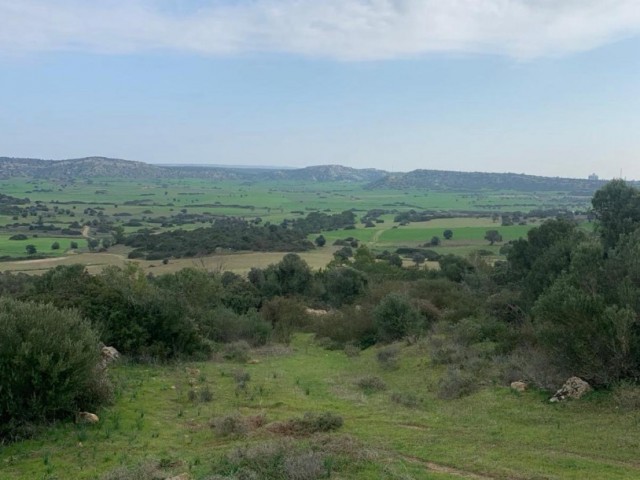 İSKELE KUMYALIDA 2.129 m2 ARAZİ