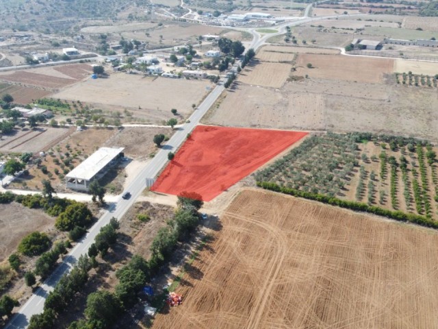 Fiyat Düştü İskele Ziyamet Yatırım Fırsatı İmara Açık Karpaz Anayoluna Sıfır 4891m² Altyapısı Hazır Arsa- Ev İle Takas Teklifleri Değerlendirilir* - Fotoğraf 4