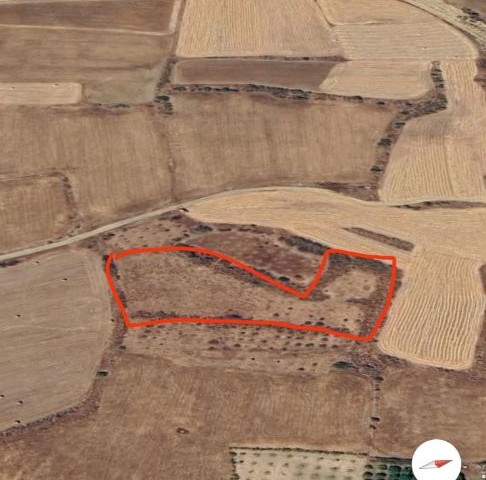 Güzelyurt Yayla mevkii, YATIRIMLIK ( geçit hakkı var, komşu pars3l KKTC, yola dönüşür) 2.5 dön0me yakın arazi...