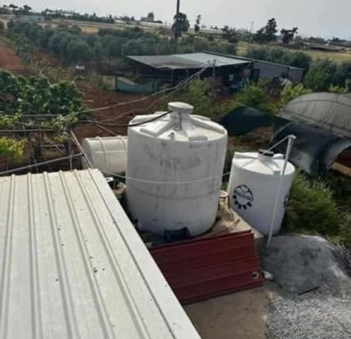 Çiftlik Evi....8700 m2(6.5 dönüm) bakımlı zeytin ağaçlarının olduğu Çiftlik Evi ve arazisi SATILIKTIR..(İstenirse 50 konut yapılabilinir.**@ ,3 Kat izinli...... - Fotoğraf 1