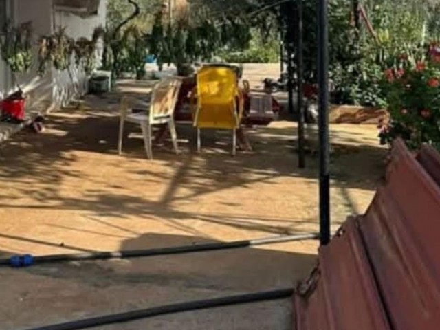 Çiftlik Evi....8700 m2(6.5 dönüm) bakımlı zeytin ağaçlarının olduğu Çiftlik Evi ve arazisi SATILIKTIR..(İstenirse 50 konut yapılabilinir.**@ ,3 Kat izinli...... - Fotoğraf 4
