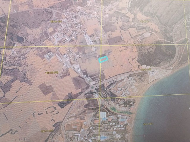 Bafra İskele 4.5 dönüm denize yakın, ticari ve konut imarlı( 3 kat izinli) arazi.Resmi yolu mevcut...fiyat dönüm başı..