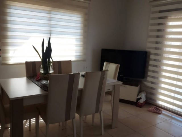 2 adet 2+1 esyali modern daire ve 1 adet mustakil villa....Güzelyurt Akcay, harika KIRALIK   3+1 mustakil villa. ...Lefkosa 15 dak, Guzelyurt Orange Shoping center 4 dak, saglik Bilimleri Unuversitesine 5 dak surus mesafede...